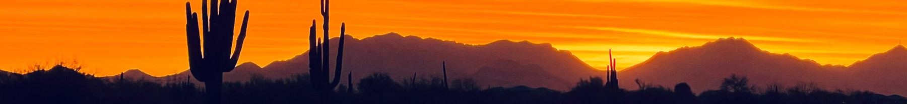 Sonoran desert at sunset outside Phoenix